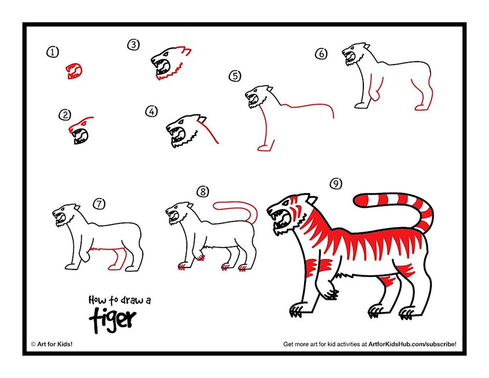 How to draw Tiger