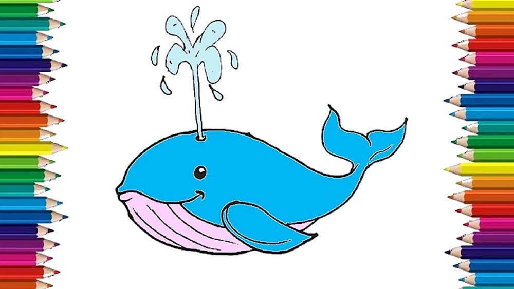 How to draw Whale