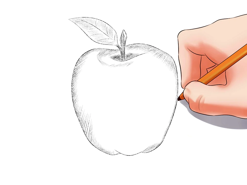 Яблоко карандашом