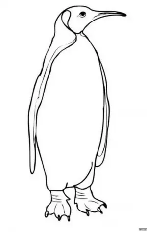 Императорский Пингвин раскраска