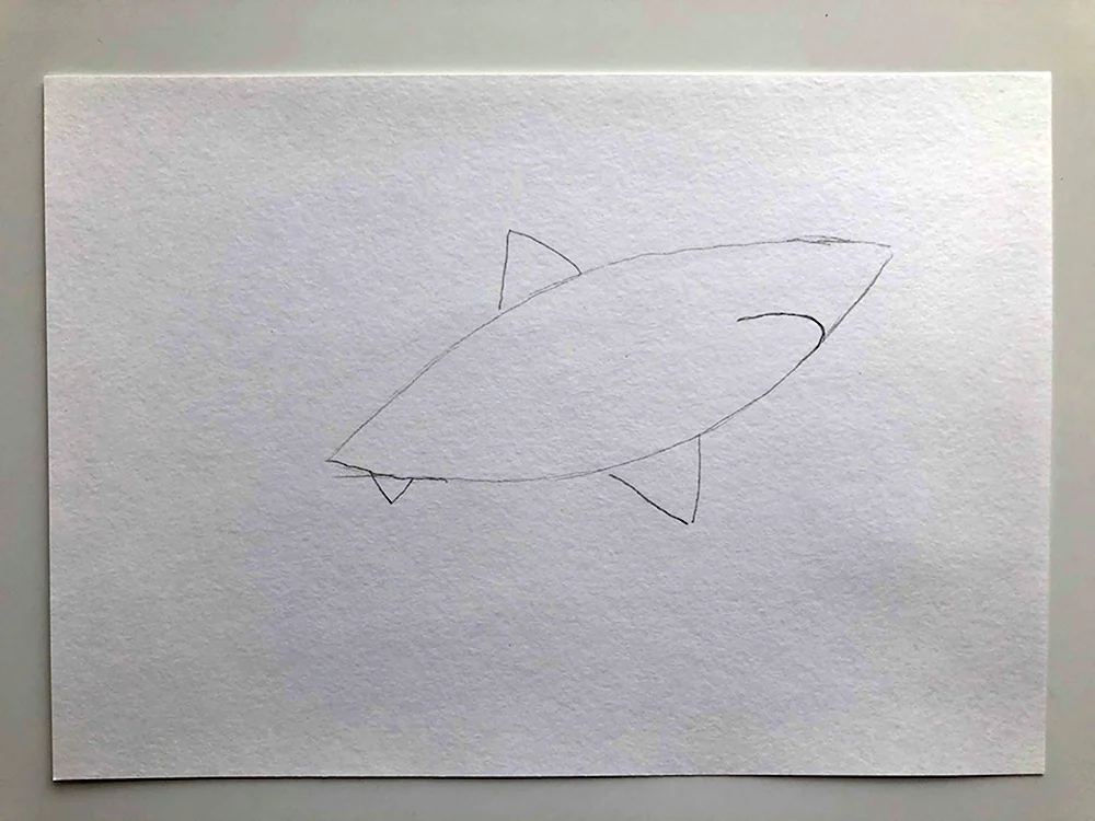Как нарисовать 3д акулу