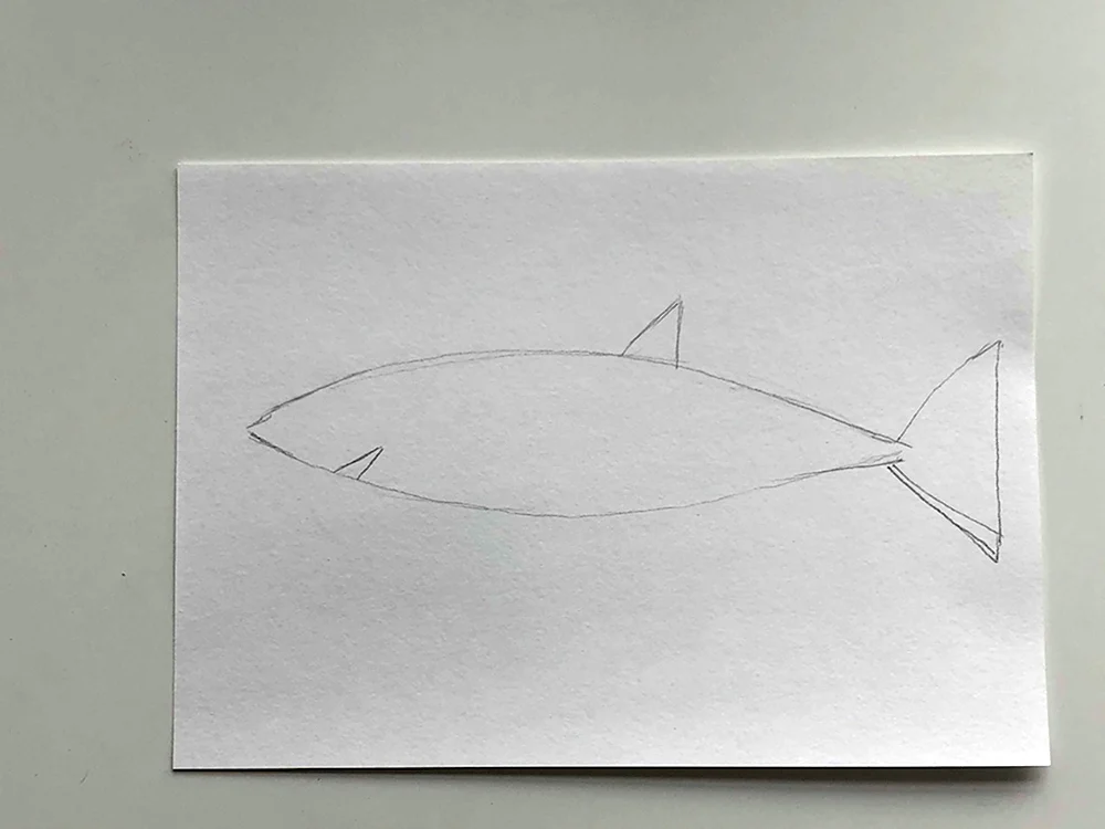 Как нарисовать акулу карандашом поэтапно