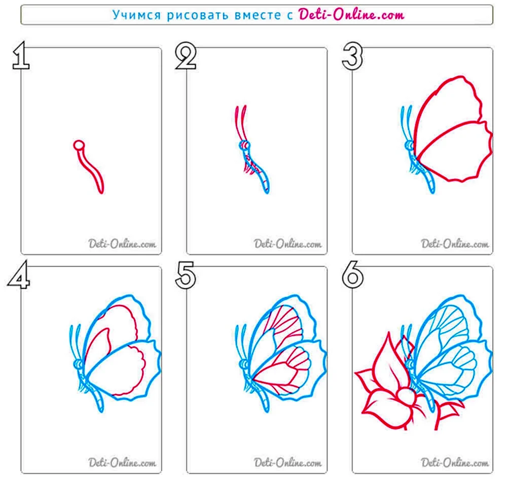 Как нарисовать бабочку пошагово