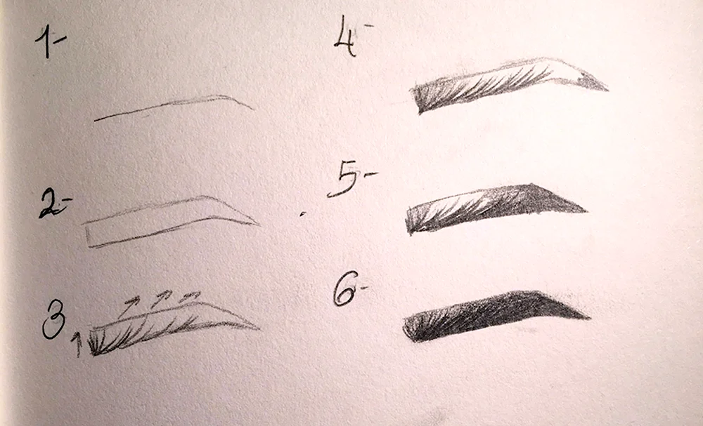Как нарисовать брови поэтапно
