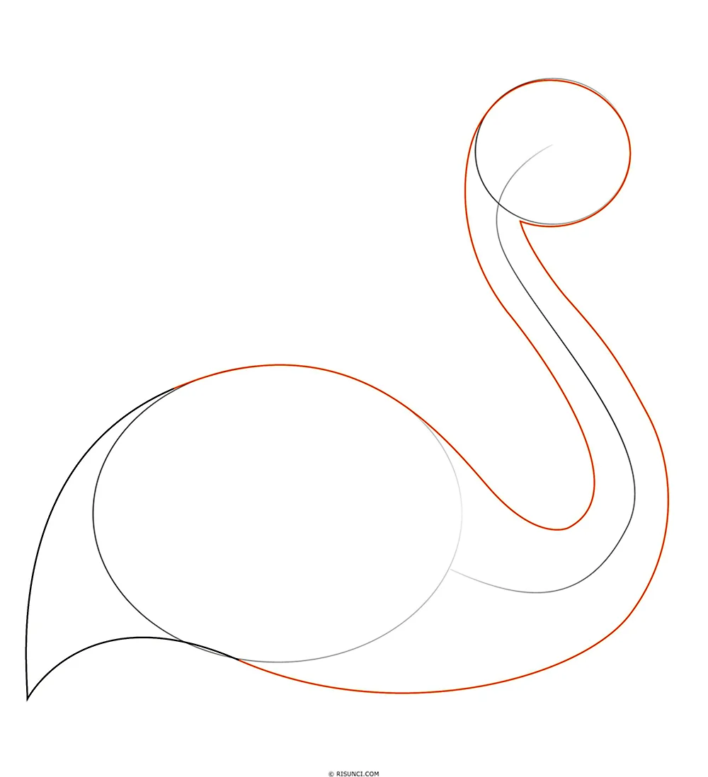 Как нарисовать Фламинго поэтапно