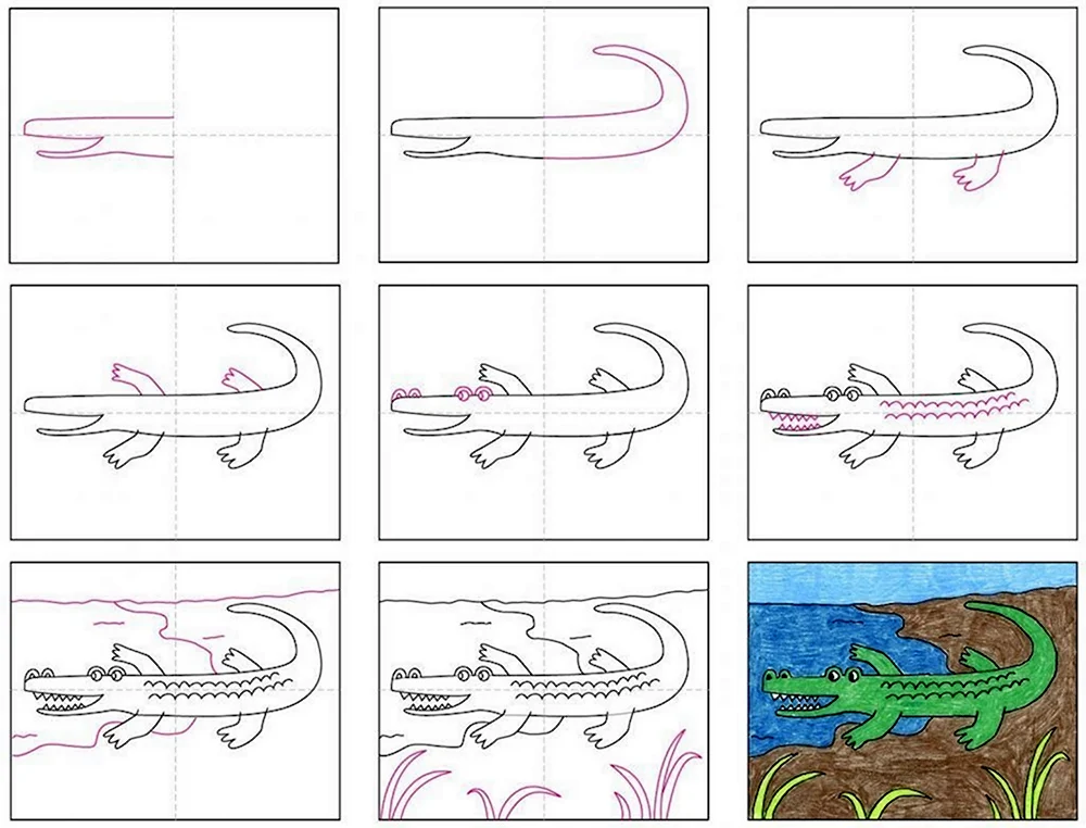 Как нарисовать крокодила поэтапно