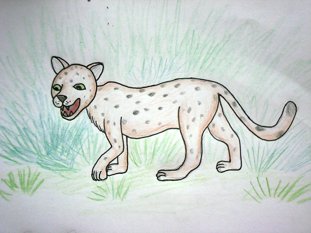 Как нарисовать леопарда для детей