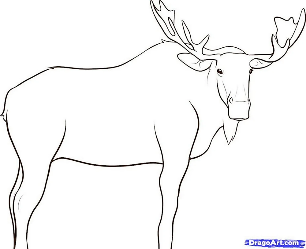 Как нарисовать лося