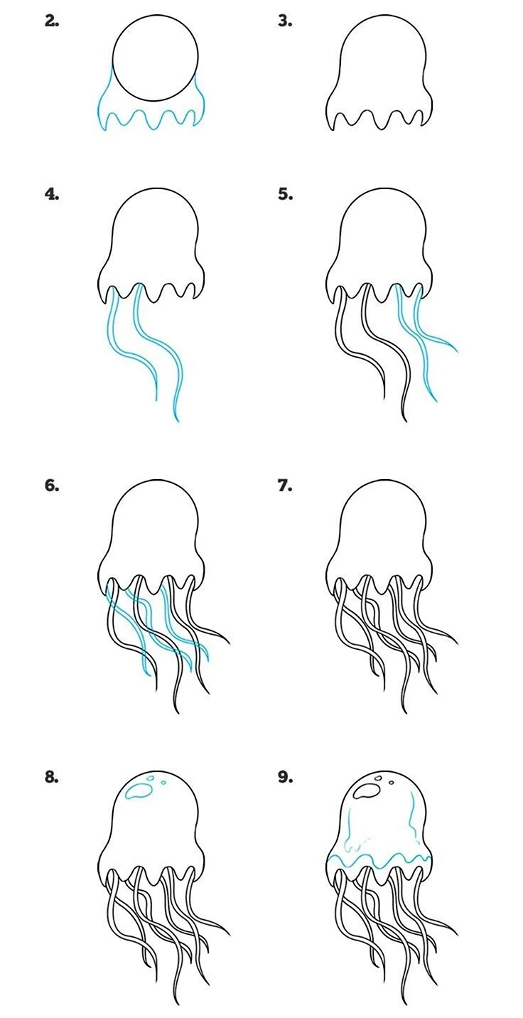 Как нарисовать медузу поэтапно