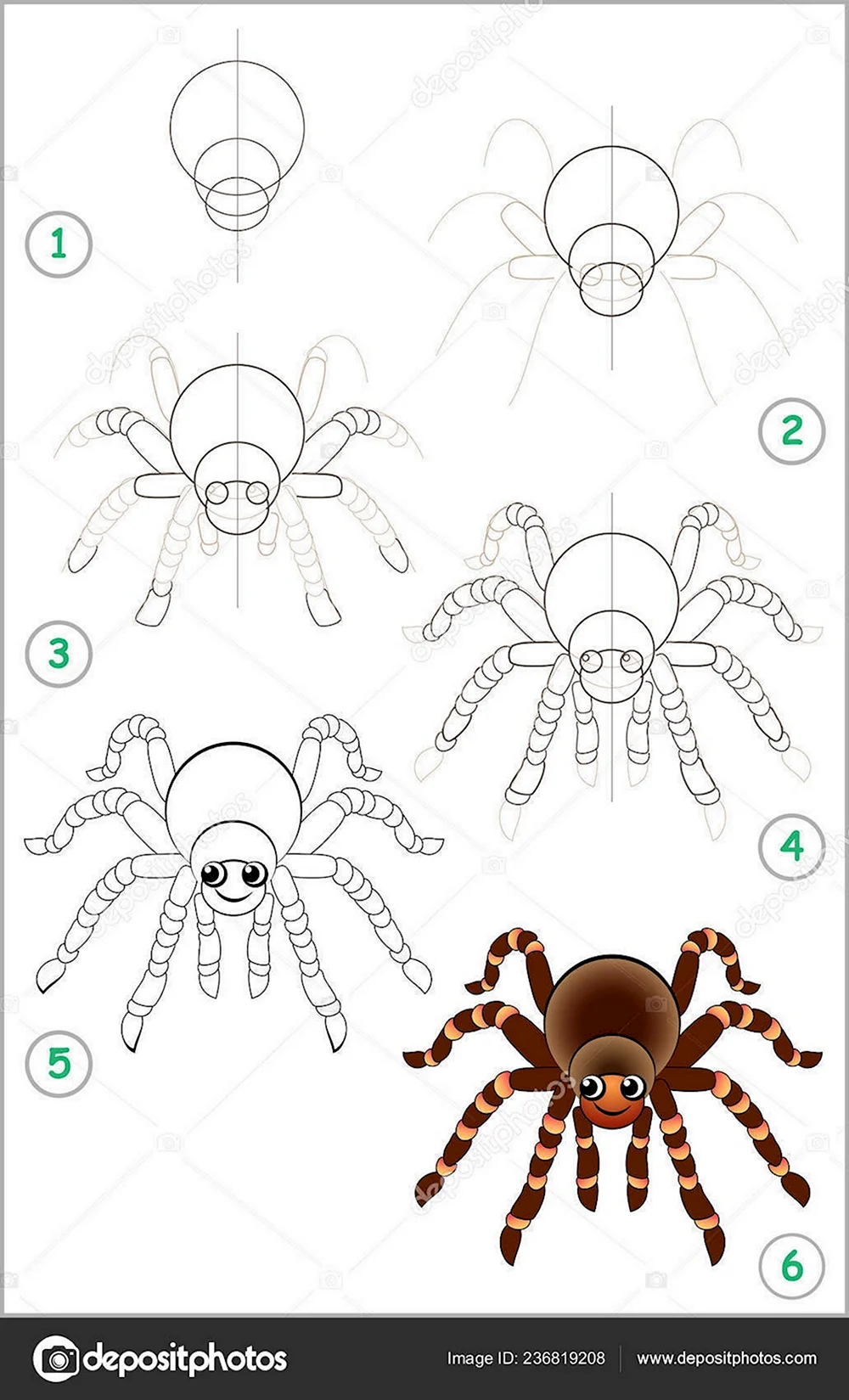 Как нарисовать милого паука