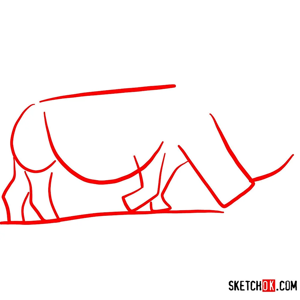 Как нарисовать носорога поэтапно для ребенка 8 лет