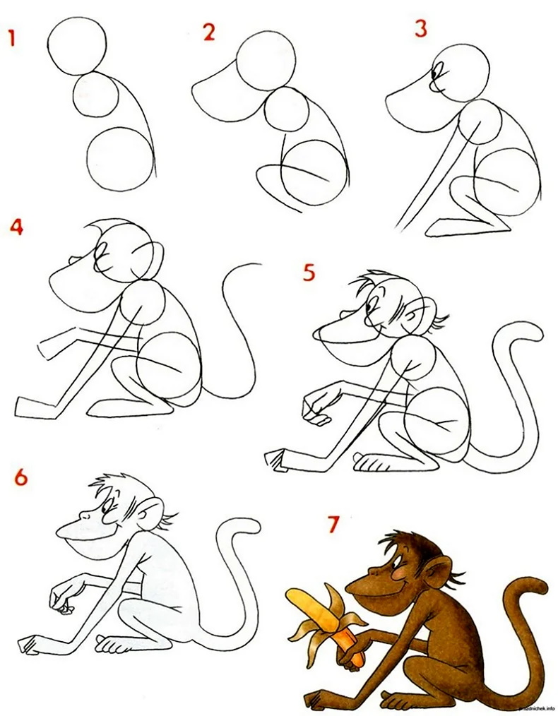 Как нарисовать обезьянку
