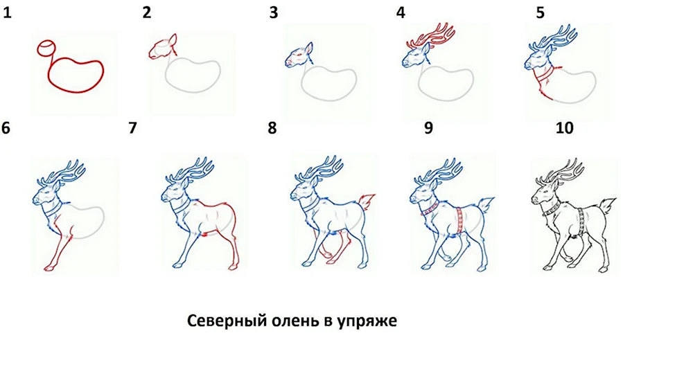 Как нарисовать оленя пошагово