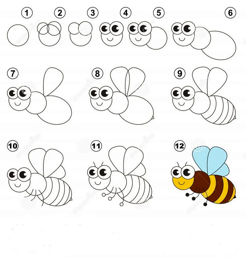 Как нарисовать пчелу поэтапно для детей