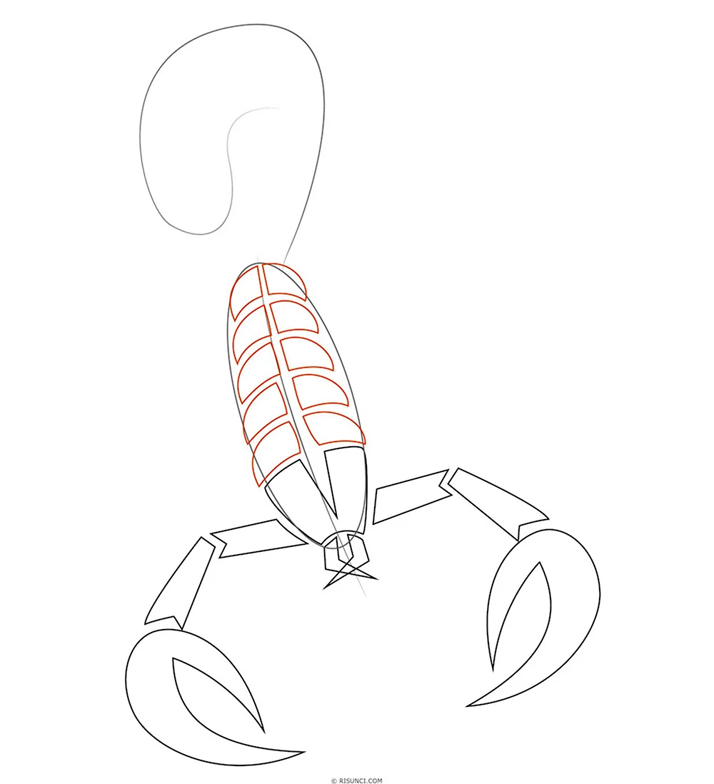 Как нарисовать скорпиона поэтапно