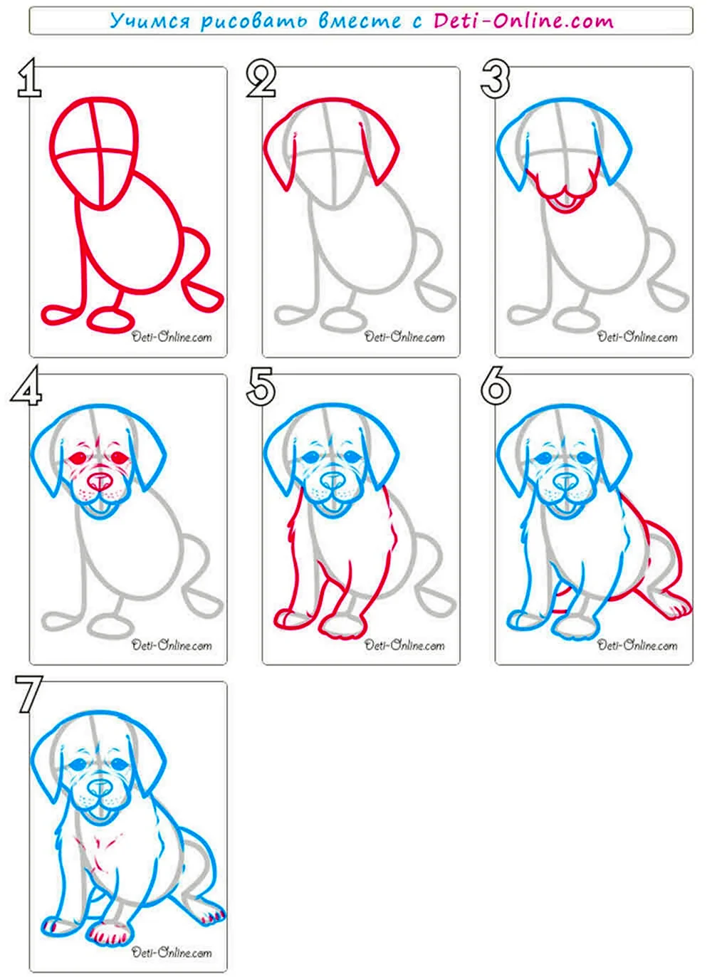Как нарисовать собачку поэтапно для детей