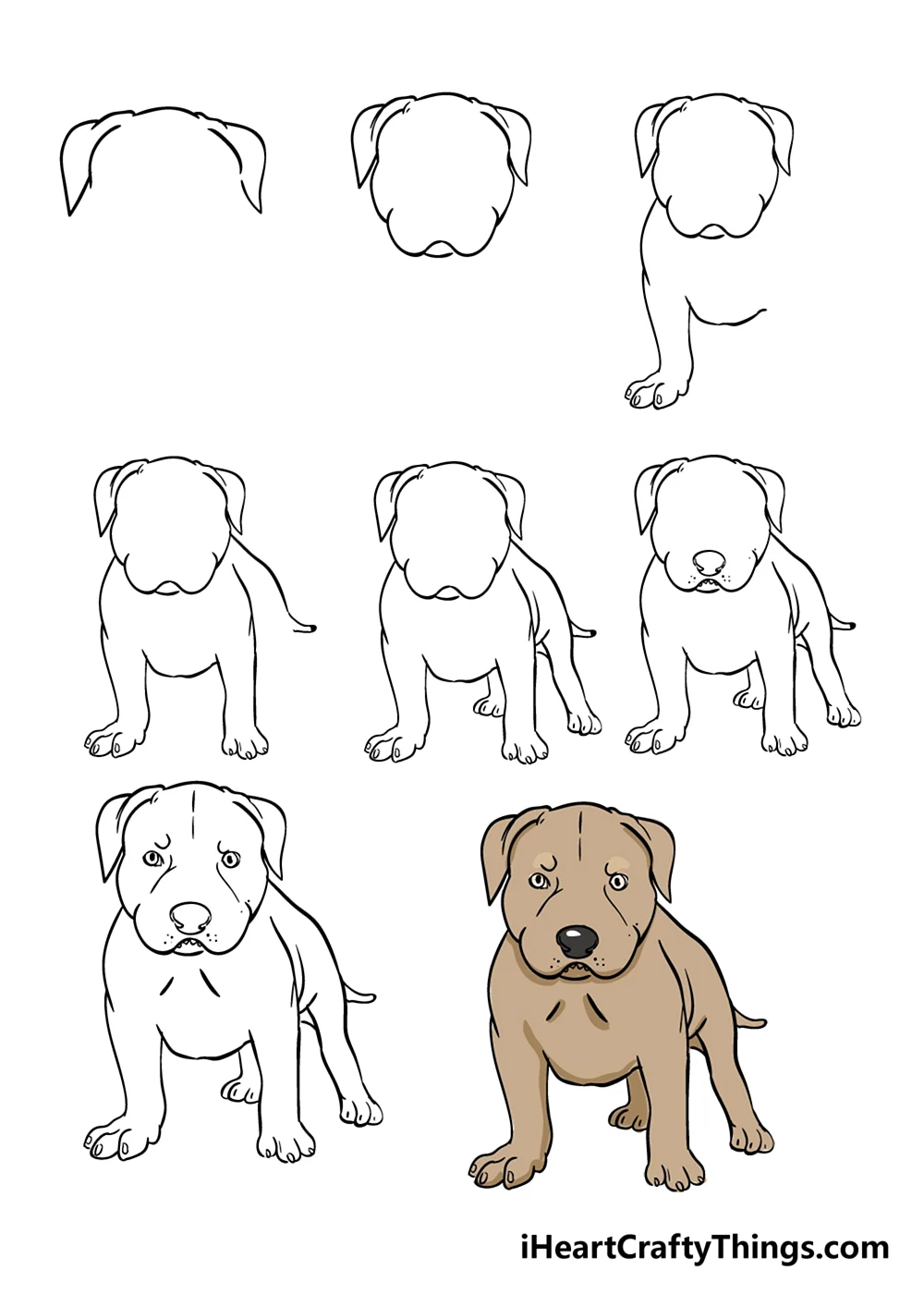 Как нарисовать собаку легко и красиво поэтапно