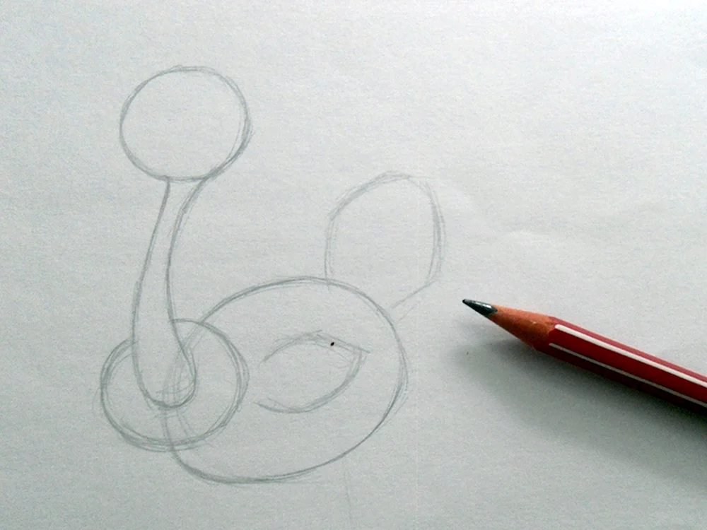 Как нарисовать страуса пошагово