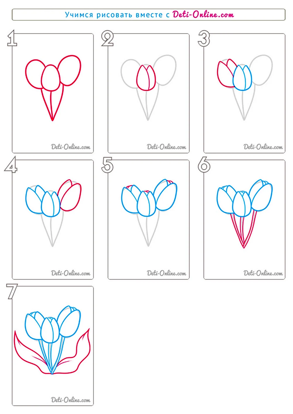 Как нарисовать тюльпан поэтапно