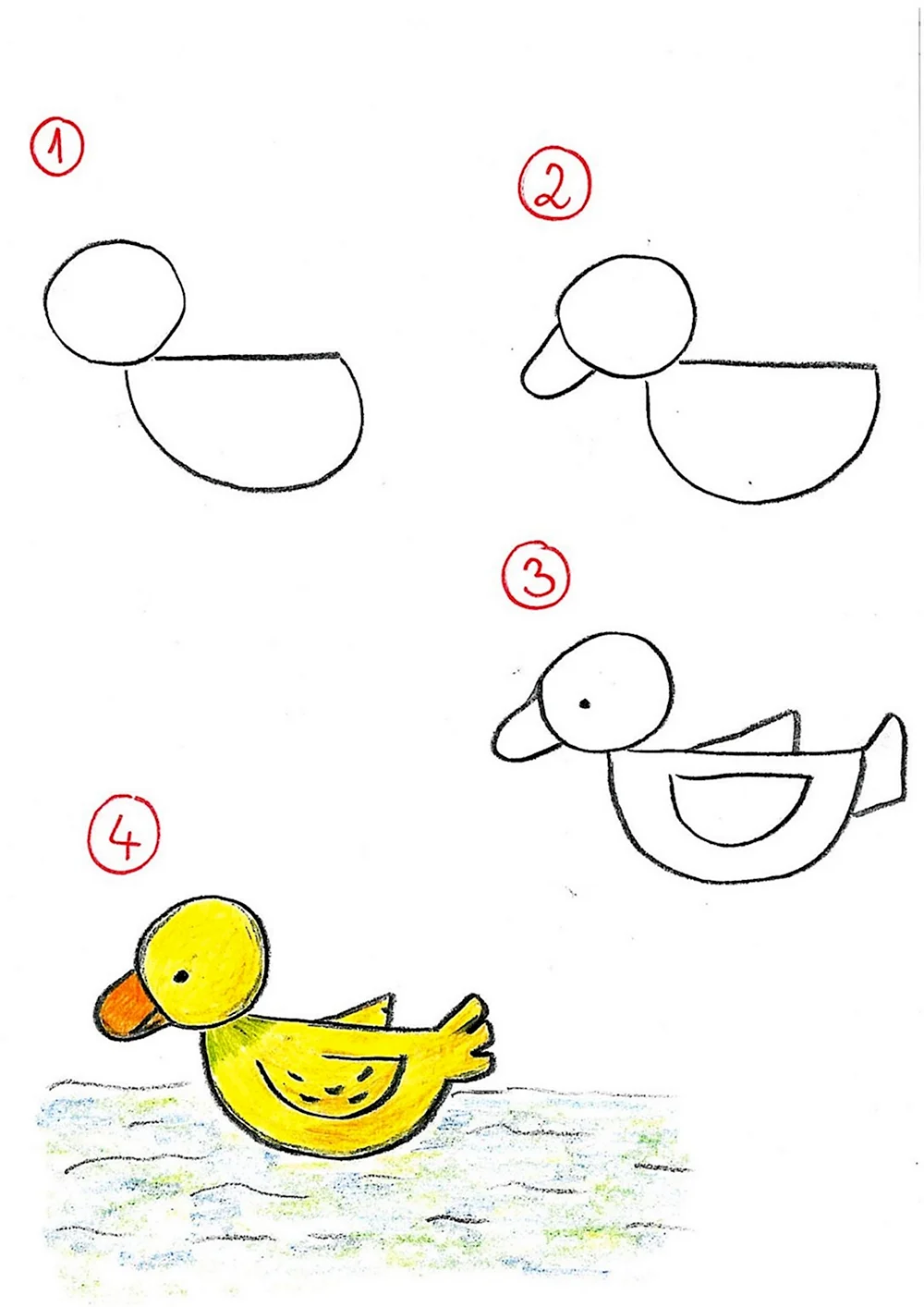 Как нарисовать цыпленка ребенку 7 лет
