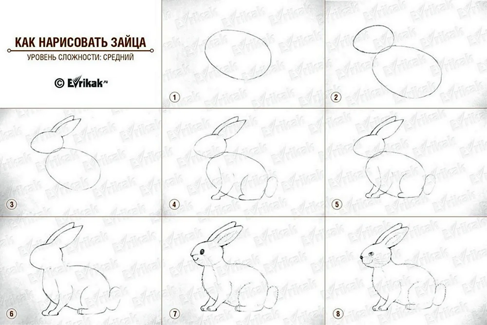Как нарисовать зайца сбоку