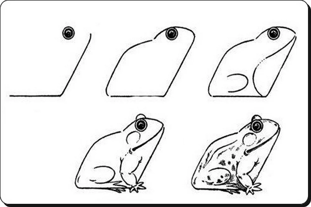 Как нарисовать жабу
