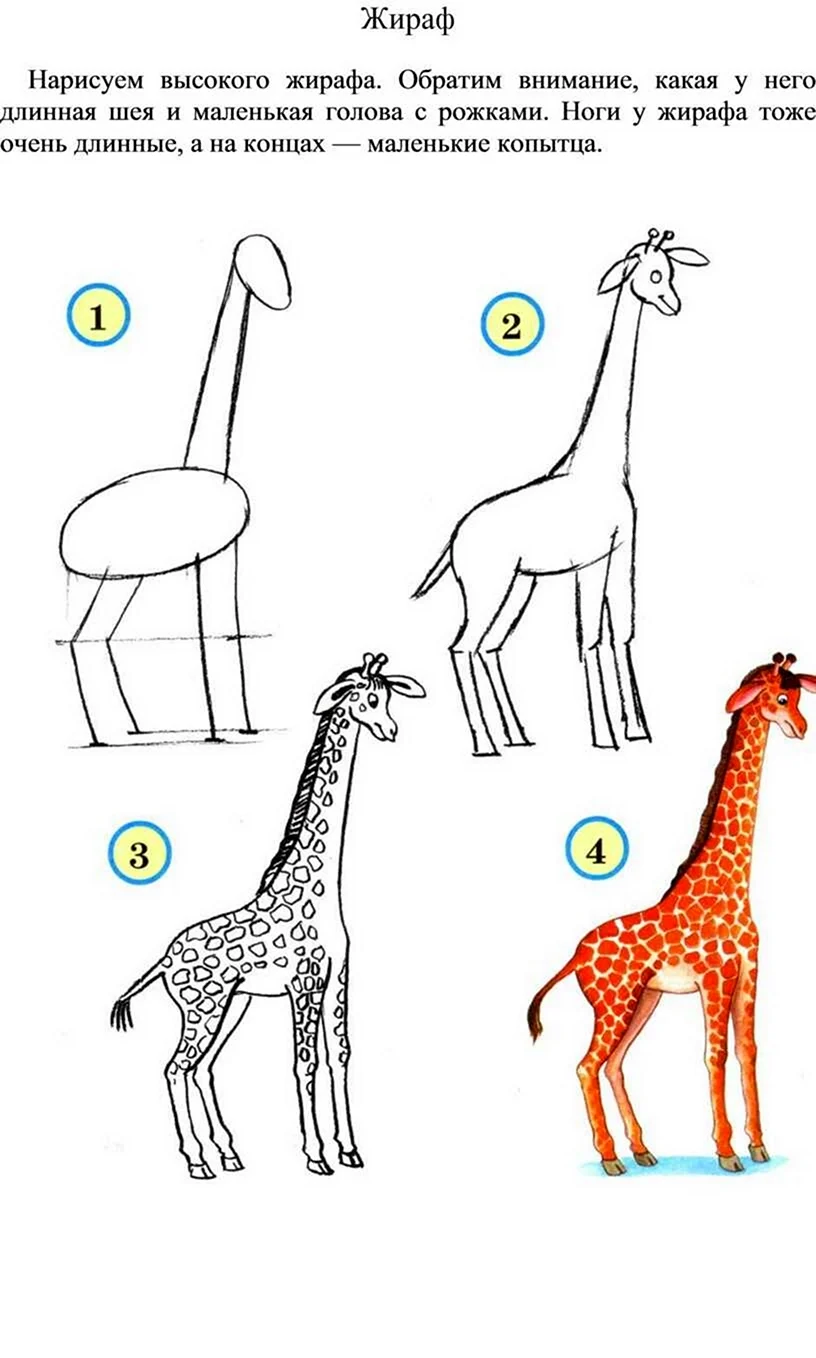 Как нарисовать жирафа карандашом для детей 9лкт