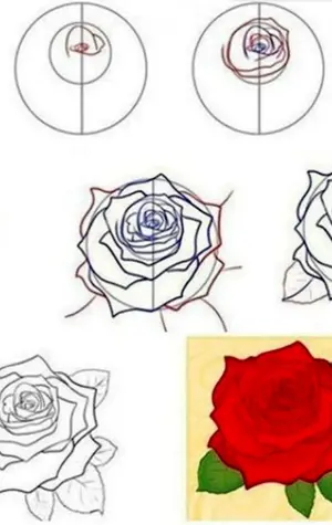 Как научить ребенка рисовать розу
