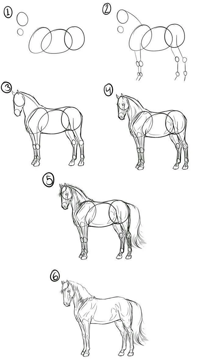 Как научиться рисовать лошадь