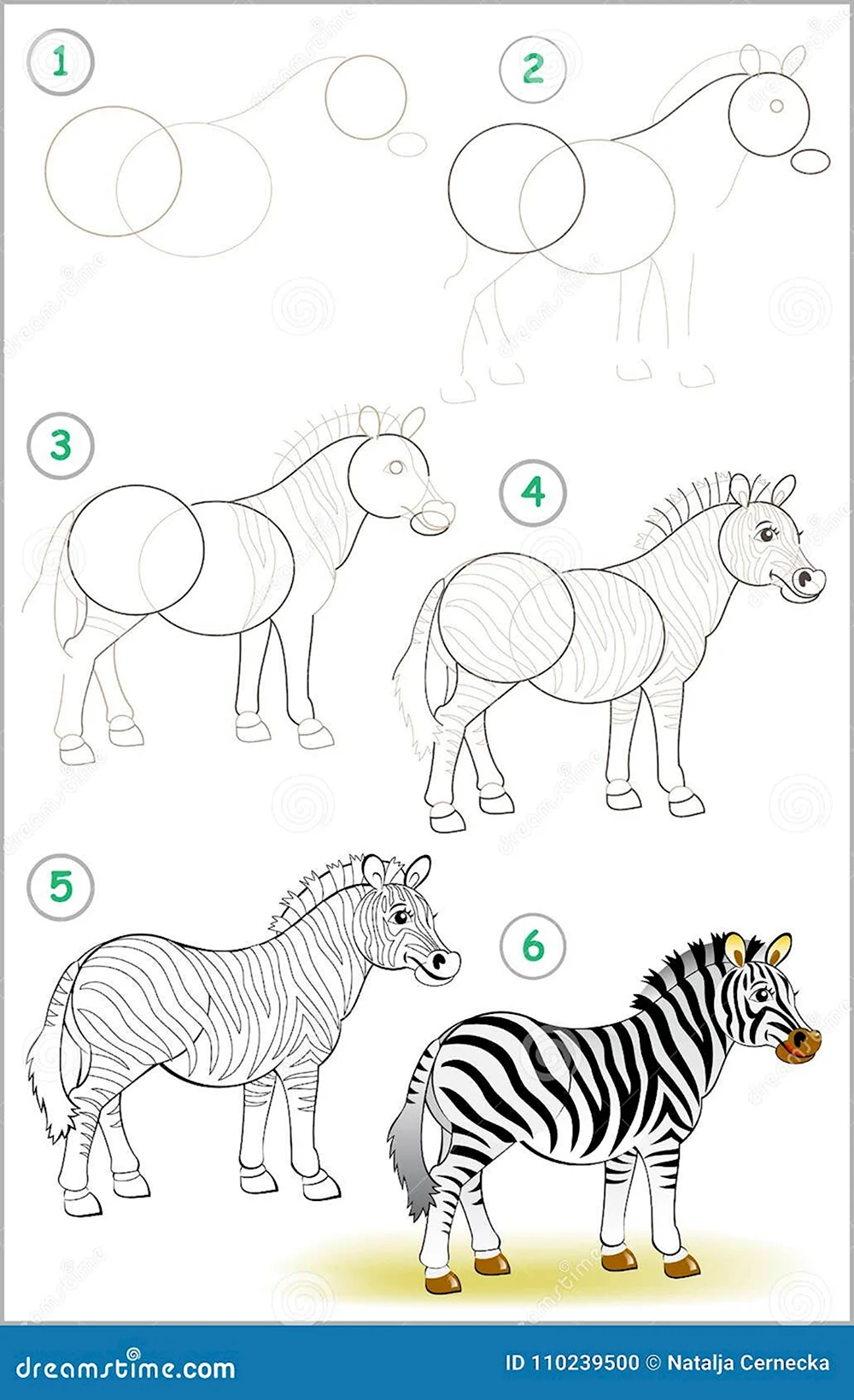 Как научиться рисовать зебру