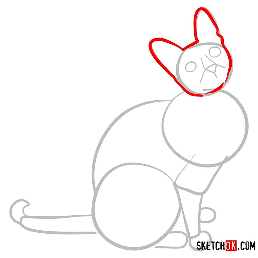 Как поэтапно нарисовать котенка сфинкса
