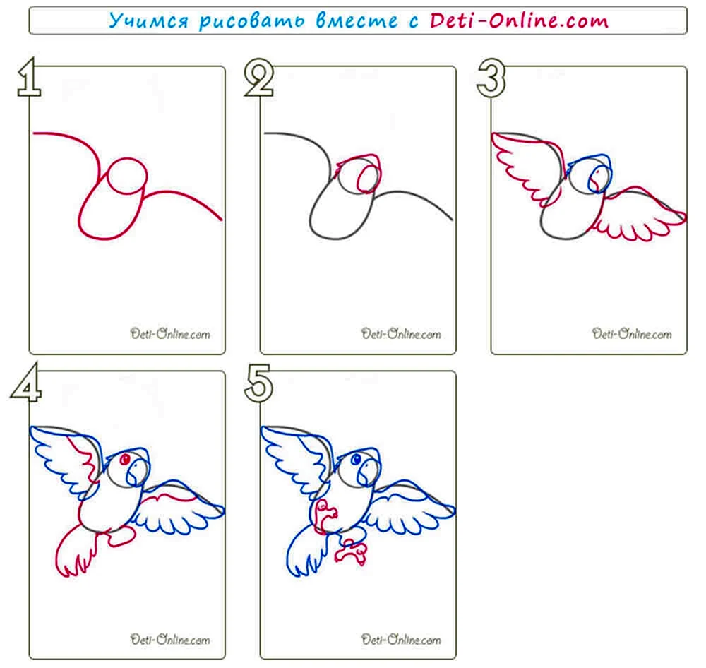 Как рисовать попугая поэтапно