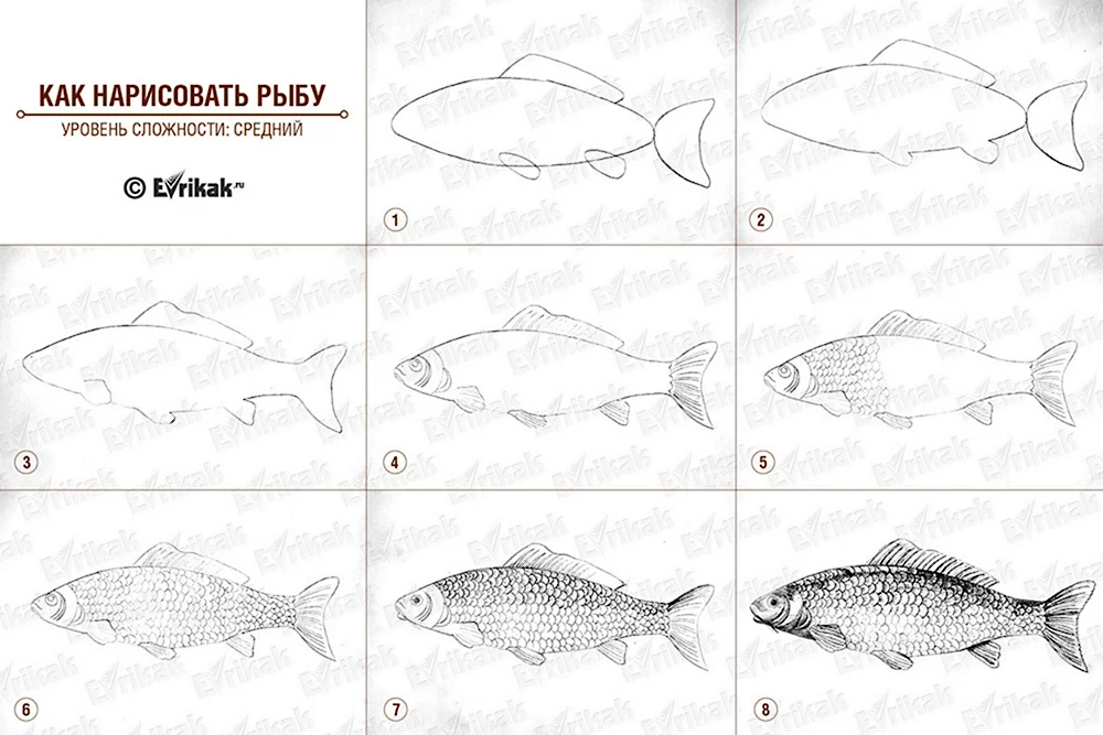 Как рисовать рыбу