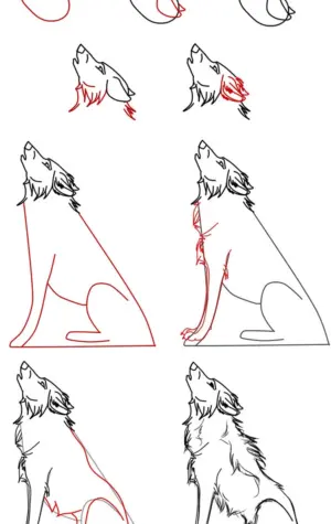 Как рисовать волка