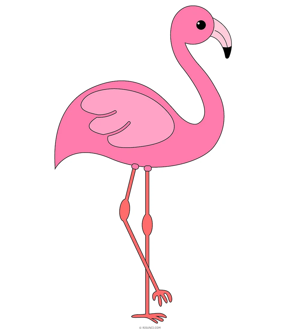 Какинарисовать Фламинго