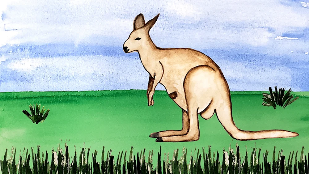Картина кенгуру