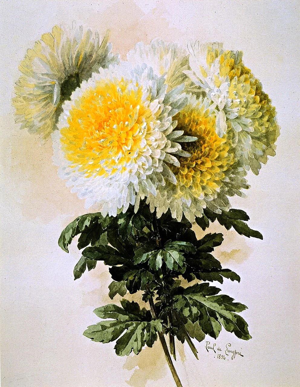 Художник Paul de Longpre 1855 1911