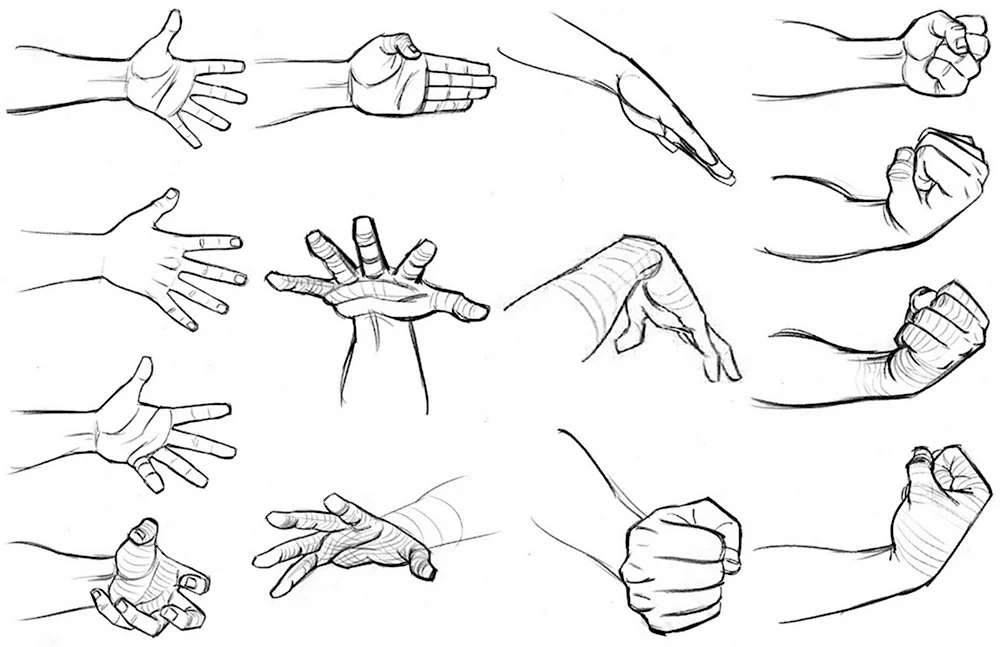 Кисти рук для рисования