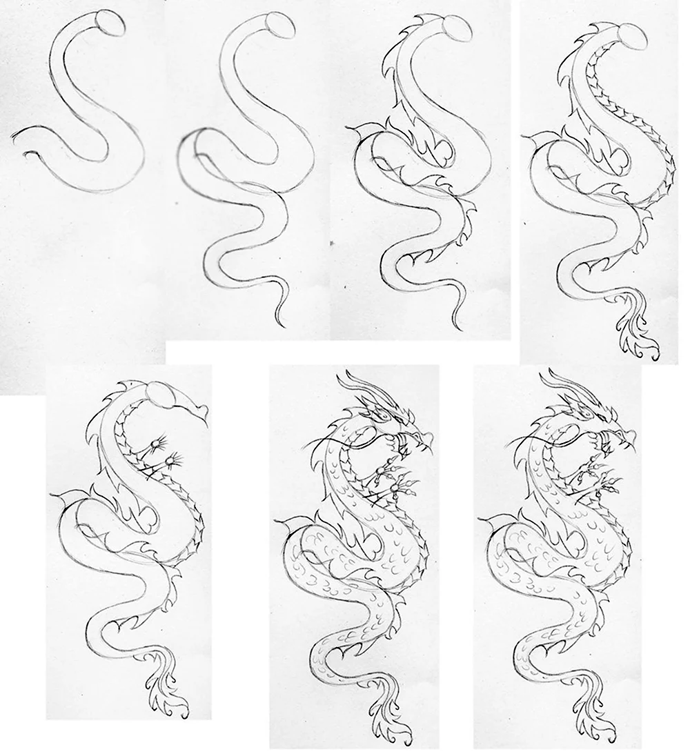 Китайский дракон рисунок карандашом лёгкий