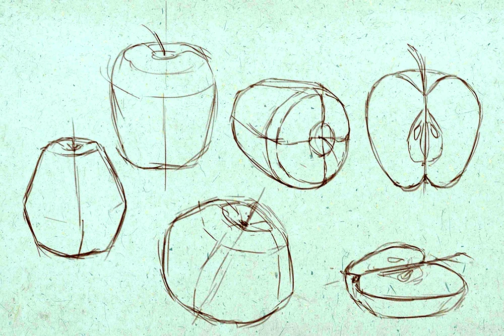 Конструктивное рисование фруктов