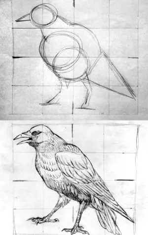 Конструктивное рисование птиц