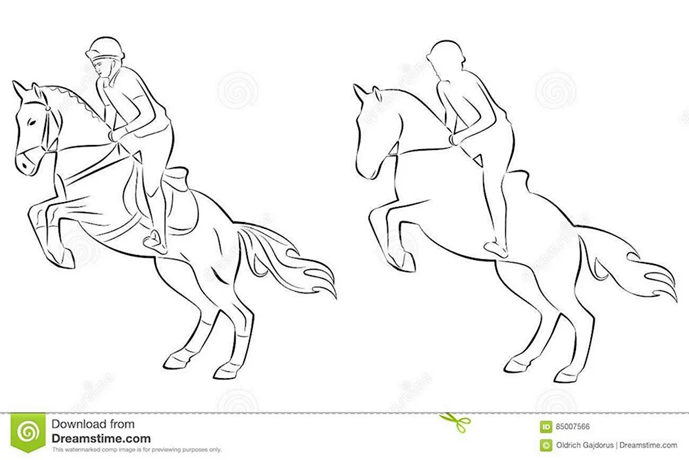 Контур лошади и всадника