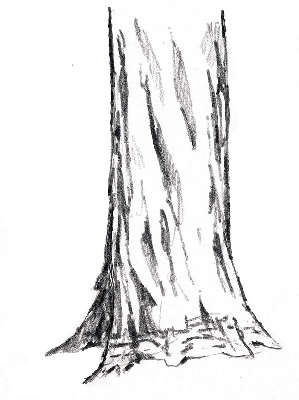 Кора дерева карандашом