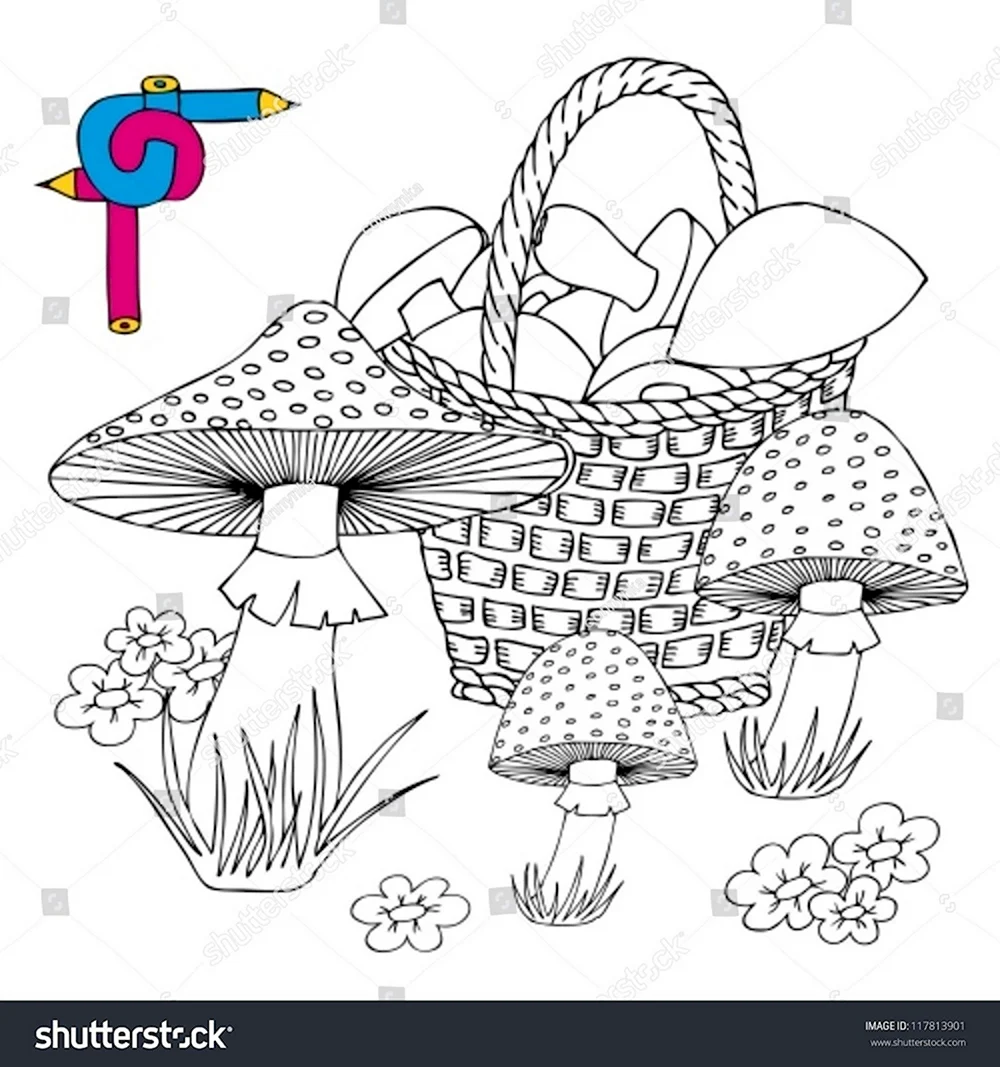 Корзина с грибами раскраска