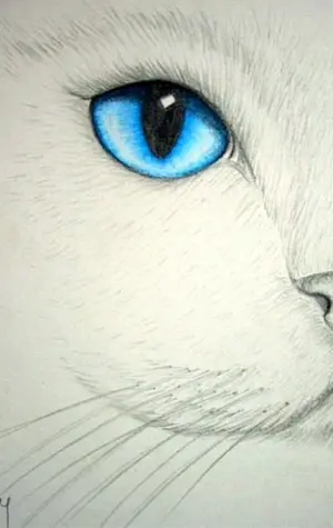 Кошачий глаз карандашом