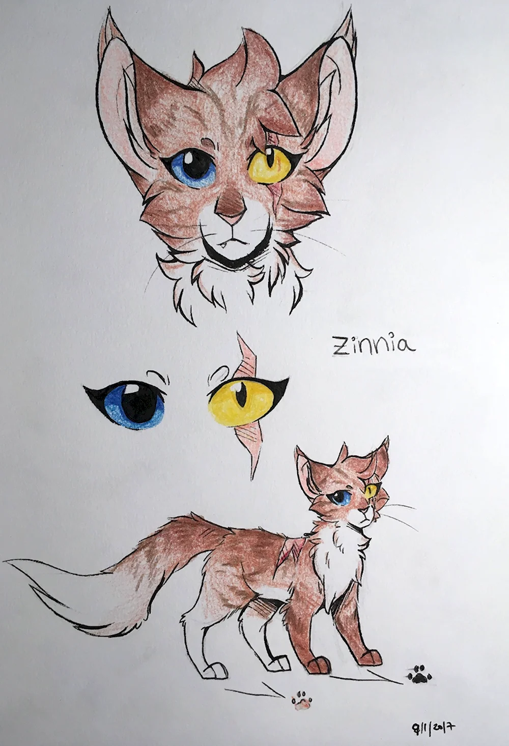 Коты Воители рисунки Дарьи