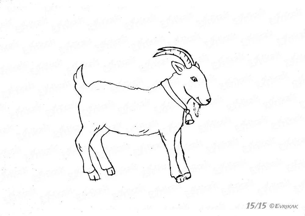 Коза рисунок для детей