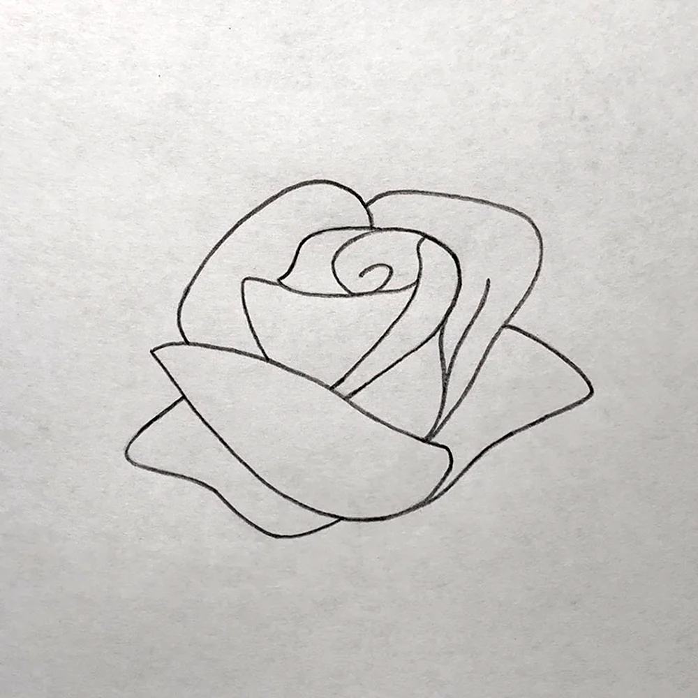 Красивые розы для лёгкого рисования