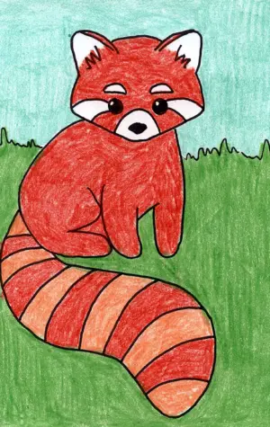 Красная Панда рисунок для детей