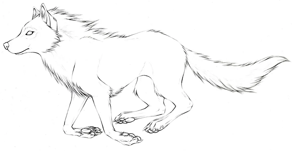 Красный волк рисунок для срисовки